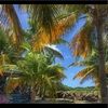 pacific